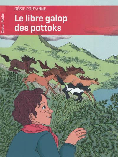 Le libre galop des pottoks