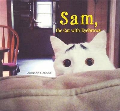 Sam The cat with eyebrows