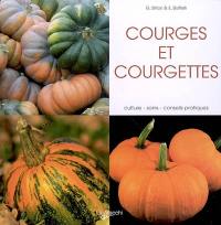 Courges et courgettes : culture, soins, conseils pratiques