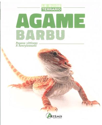 Agame barbu : Pogona vitticeps, P. henrylawsoni