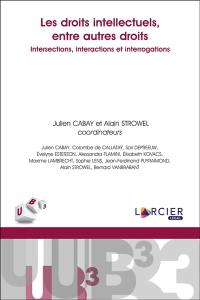 Les droits intellectuels, entre autres droits : intersections, interactions et interrogations