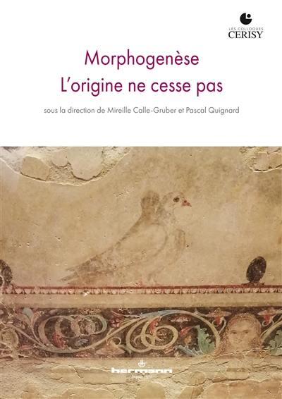 Morphogenèse : l'origine ne cesse pas