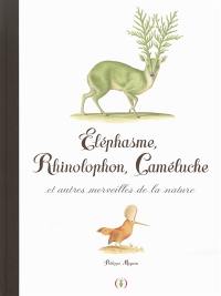 Eléphasme, rhinolophon, caméluche : et autres merveilles de la nature