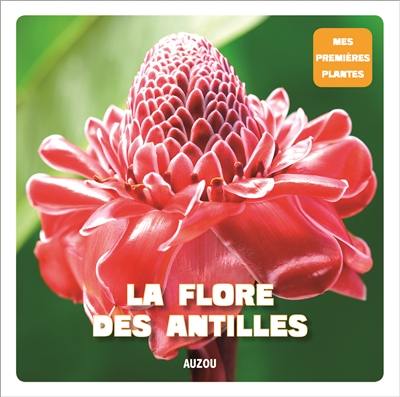 La flore des Antilles