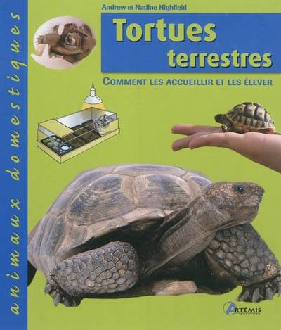 Tortues terrestres : comment les accueillir et les élever