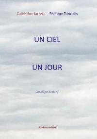 Un ciel un jour : topologie du furtif