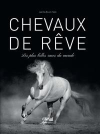 Chevaux de rêve : les plus belles races du monde