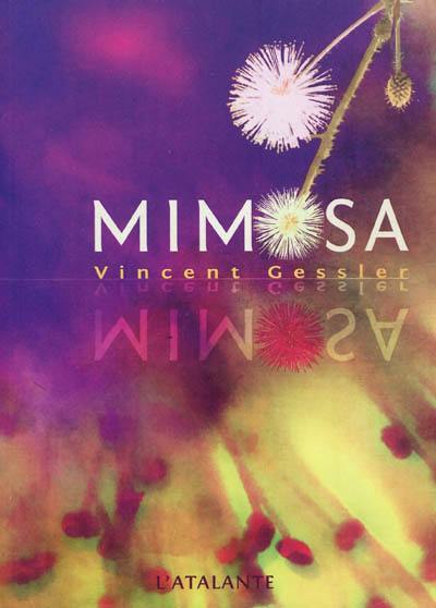 Mimosa