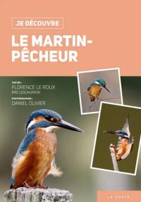 Le martin-pêcheur