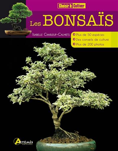 Les bonsaïs