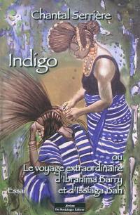 Indigo ou Le voyage extraordinaire d'Ibrahima Barry et d'Issiaga Bah : essai à partir d'un récit de voyage