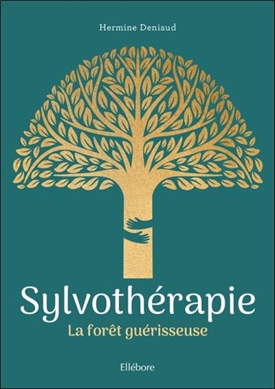 Sylvothérapie : la forêt guérisseuse