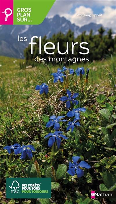 Gros plan sur... les fleurs des montagnes