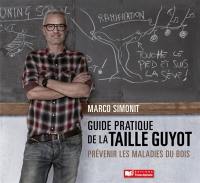 Guide pratique de la taille Guyot : prévenir les maladies du bois