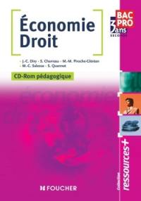 Economie droit, bac pro : CD-ROM pédagogique