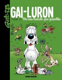 Gai-Luron. Vol. 10. Gai-Luron tire une tronche pas possible