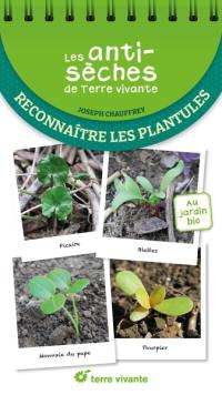 Reconnaître les plantules : au jardin bio