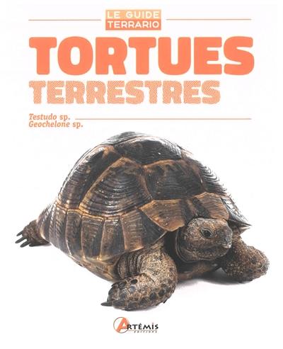 Tortues terrestres : Testudo sp, Geochelone sp