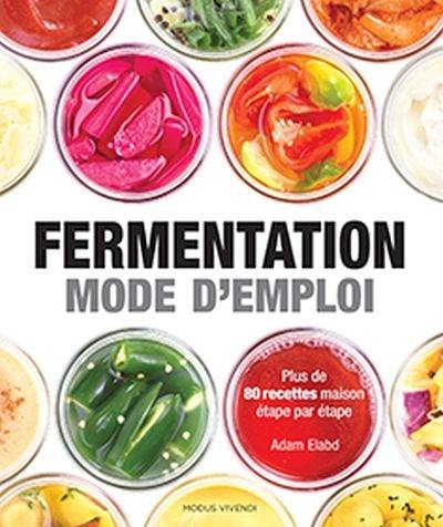 Fermentation : mode d'emploi : plus de 80 recettes maison étape par étape