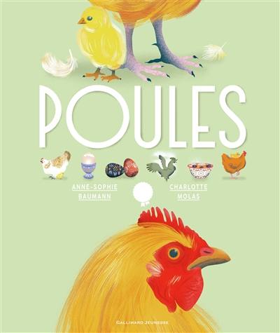 Poules