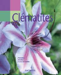 Clématites