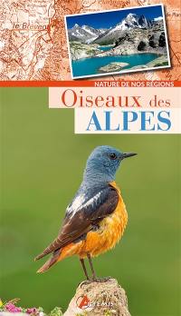 Oiseaux des Alpes