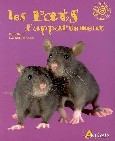 Les rats d'appartement