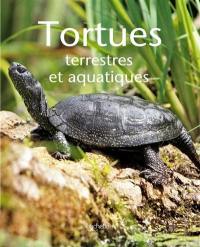 Tortues : terrestres et aquatiques