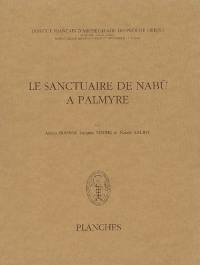 Le sanctuaire de Nabu à Palmyre. Planches