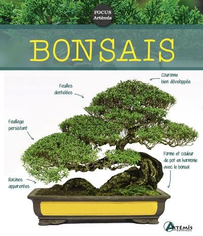 Bonsaïs