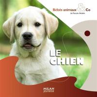 Le chien