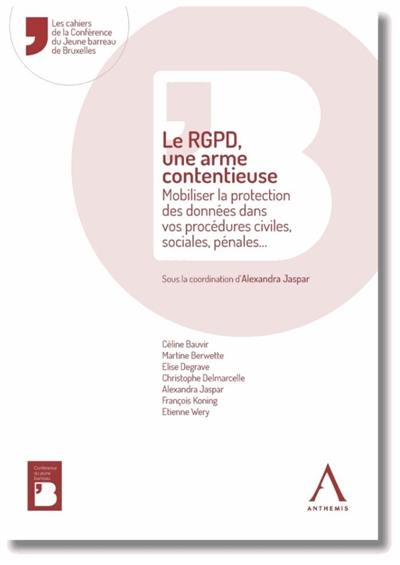 Le RGPD, une arme contentieuse : mobiliser la protection des données dans vos procédures civiles, sociales, pénales...