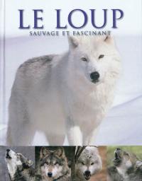 Le loup : sauvage et fascinant