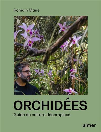 Orchidées : guide de culture décomplexée