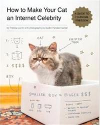 How to make your cat an Internet Celebrity