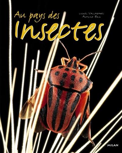 Au pays des insectes