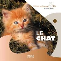 Le chat