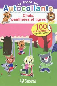 Chats, panthères et tigres