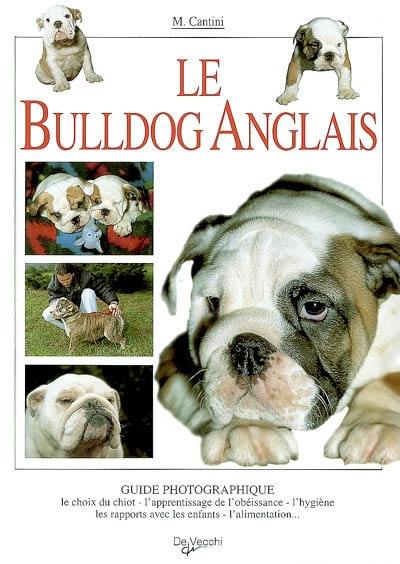 Le bulldog anglais