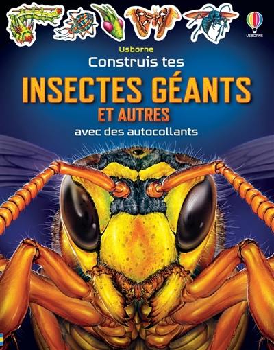 Construis tes Insectes géants et autres avec des autocollants : Dès 5 ans