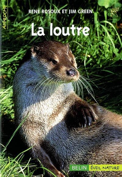 La loutre