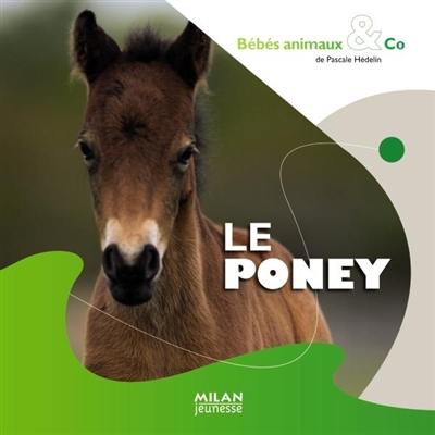 Le poney