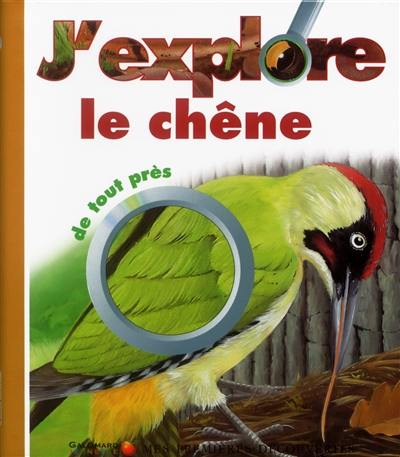 J'explore le chêne de tout près