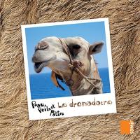 Le dromadaire