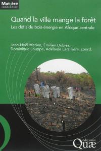 Quand la ville mange la forêt : les défis du bois énergie en Afrique centrale