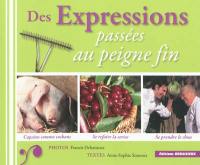 Des expressions passées au peigne fin