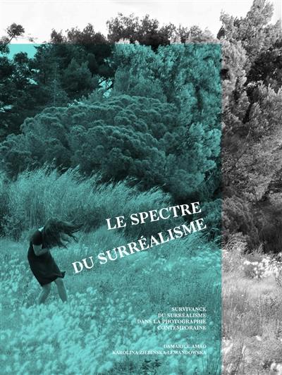 Le spectre du surréalisme : survivance du surréalisme dans la photographie contemporaine