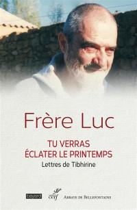 Les lettres de Tibhirine. Vol. 1. Tu verras éclater le printemps : lettres à son ami Georges Guillemin, 1961-1996