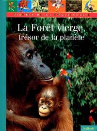 La forêt vierge, trésor de la planète