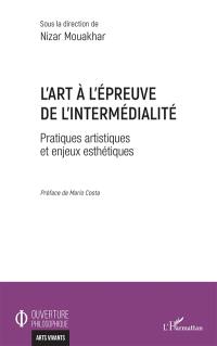 L'art à l'épreuve de l'intermédialité : pratiques artistiques et enjeux esthétiques